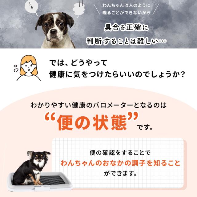 【レビューでポイント5％】【公式】大正製薬 わんビオフェルミンS 40g×6袋 犬 サプリ サプリメント 腸活 健康維持 ビフィズス菌 乳酸菌 犬サプリ イヌ 犬用 ペット 腸活サプリ 無添加 ふりかけ 粉 腸内環境 犬サプリメント 愛犬用 乳酸菌サプリ ビフィズス菌サプリ 犬の腸活_12