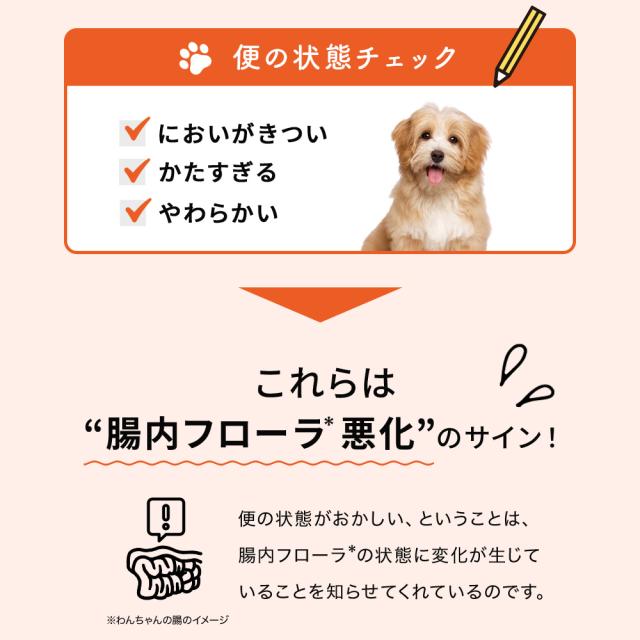 【レビューでポイント5％】【公式】大正製薬 わんビオフェルミンS 40g×6袋 犬 サプリ サプリメント 腸活 健康維持 ビフィズス菌 乳酸菌 犬サプリ イヌ 犬用 ペット 腸活サプリ 無添加 ふりかけ 粉 腸内環境 犬サプリメント 愛犬用 乳酸菌サプリ ビフィズス菌サプリ 犬の腸活_13