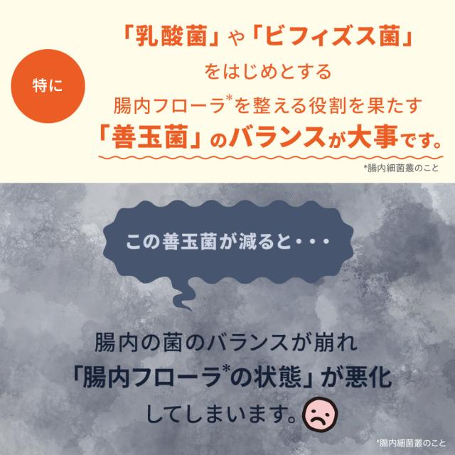 【レビューでポイント5％】【公式】大正製薬 わんビオフェルミンS 40g×6袋 犬 サプリ サプリメント 腸活 健康維持 ビフィズス菌 乳酸菌 犬サプリ イヌ 犬用 ペット 腸活サプリ 無添加 ふりかけ 粉 腸内環境 犬サプリメント 愛犬用 乳酸菌サプリ ビフィズス菌サプリ 犬の腸活_15