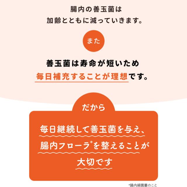 【レビューでポイント5％】【公式】大正製薬 わんビオフェルミンS 40g×6袋 犬 サプリ サプリメント 腸活 健康維持 ビフィズス菌 乳酸菌 犬サプリ イヌ 犬用 ペット 腸活サプリ 無添加 ふりかけ 粉 腸内環境 犬サプリメント 愛犬用 乳酸菌サプリ ビフィズス菌サプリ 犬の腸活_16
