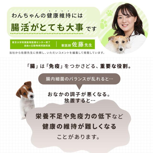 【レビューでポイント5％】【公式】大正製薬 わんビオフェルミンS 40g×6袋 犬 サプリ サプリメント 腸活 健康維持 ビフィズス菌 乳酸菌 犬サプリ イヌ 犬用 ペット 腸活サプリ 無添加 ふりかけ 粉 腸内環境 犬サプリメント 愛犬用 乳酸菌サプリ ビフィズス菌サプリ 犬の腸活_3
