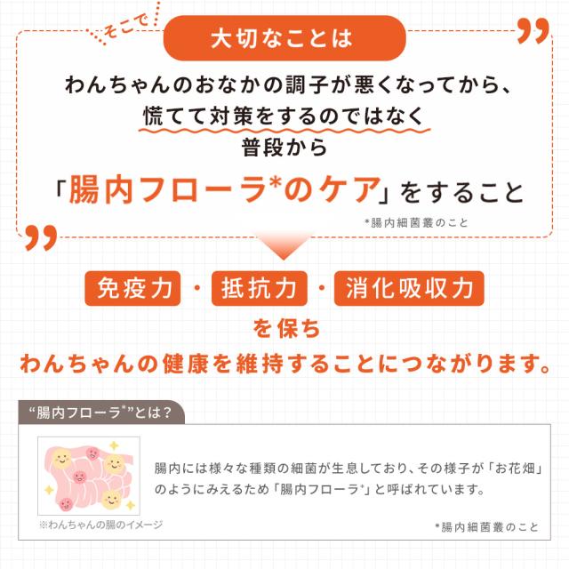 【レビューでポイント5％】【公式】大正製薬 わんビオフェルミンS 40g×6袋 犬 サプリ サプリメント 腸活 健康維持 ビフィズス菌 乳酸菌 犬サプリ イヌ 犬用 ペット 腸活サプリ 無添加 ふりかけ 粉 腸内環境 犬サプリメント 愛犬用 乳酸菌サプリ ビフィズス菌サプリ 犬の腸活_4