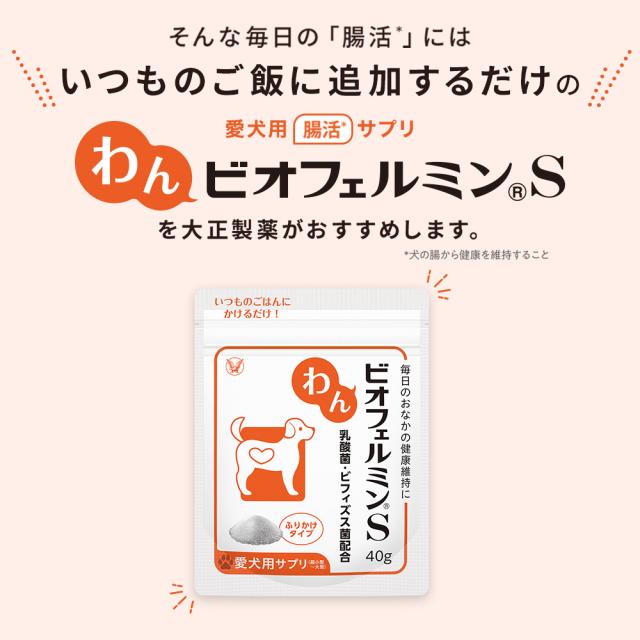 【レビューでポイント5％】【公式】大正製薬 わんビオフェルミンS 40g×6袋 犬 サプリ サプリメント 腸活 健康維持 ビフィズス菌 乳酸菌 犬サプリ イヌ 犬用 ペット 腸活サプリ 無添加 ふりかけ 粉 腸内環境 犬サプリメント 愛犬用 乳酸菌サプリ ビフィズス菌サプリ 犬の腸活_5