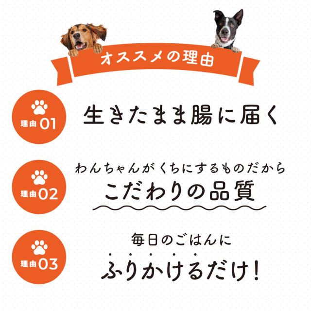 【レビューでポイント5％】【公式】大正製薬 わんビオフェルミンS 40g×6袋 犬 サプリ サプリメント 腸活 健康維持 ビフィズス菌 乳酸菌 犬サプリ イヌ 犬用 ペット 腸活サプリ 無添加 ふりかけ 粉 腸内環境 犬サプリメント 愛犬用 乳酸菌サプリ ビフィズス菌サプリ 犬の腸活_6