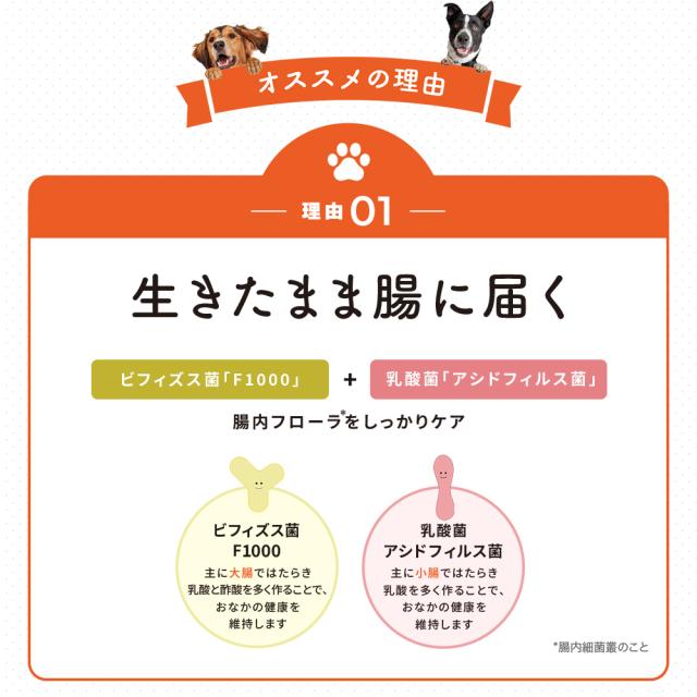 【レビューでポイント5％】【公式】大正製薬 わんビオフェルミンS 40g×6袋 犬 サプリ サプリメント 腸活 健康維持 ビフィズス菌 乳酸菌 犬サプリ イヌ 犬用 ペット 腸活サプリ 無添加 ふりかけ 粉 腸内環境 犬サプリメント 愛犬用 乳酸菌サプリ ビフィズス菌サプリ 犬の腸活_7