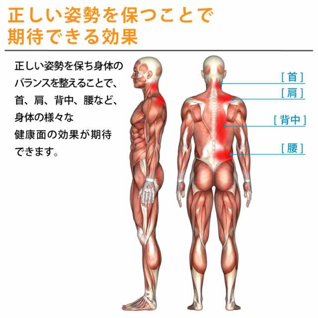 送料無料 ドクター背筋矯正サポーター 背筋矯正ベルト 着用時 猫背矯正ベルト 姿勢矯正ベルト 猫背ベルト 姿勢ベルト 姿勢サポーター の通販はau Pay マーケット Norph Online Store