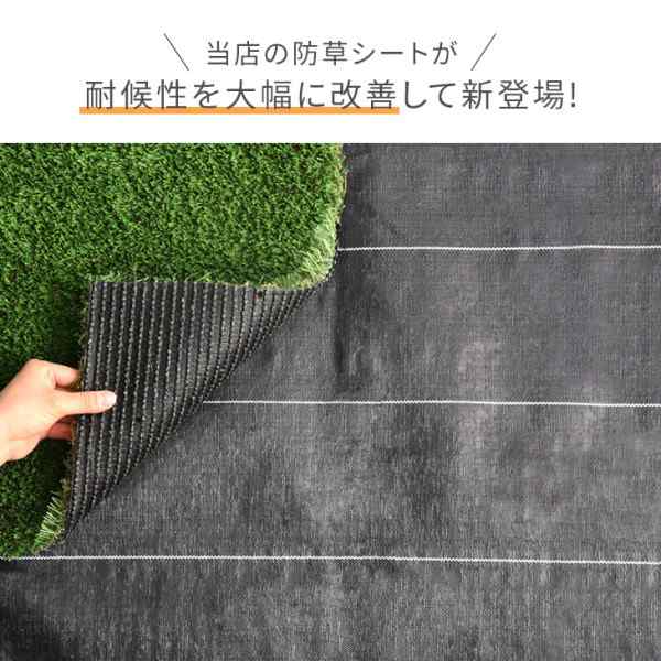 10年使える”超高密度 防草シート付 人工芝 2m×10m 48本 セット 芝丈25mm U字ピン 10m 2m ピン 高耐久 リアル人工芝  52万本/ｍ2 人工芝ロール 人工芝生 防草シート 屋上 ベランダ 庭 ガーデン 芝 芝生 おしゃれ [超大型商品]の通販はau PAY マーケット  - タンスのゲン ...