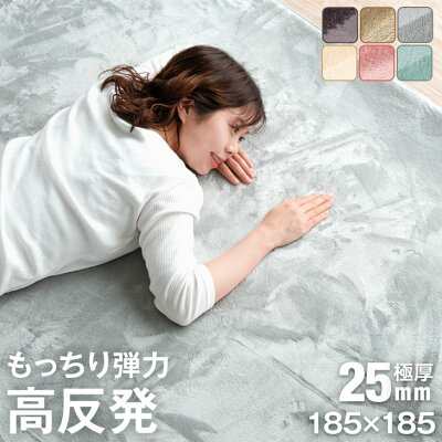 13日限定P5％還元】 もっちり弾力! 高反発 ラグ 厚手 2畳 185×185 極厚25mm ラグマット 2畳 カーペット フランネル 防音  滑り止め付 の通販はau PAY マーケット - タンスのゲン Design the Future | au PAY マーケット－通販サイト