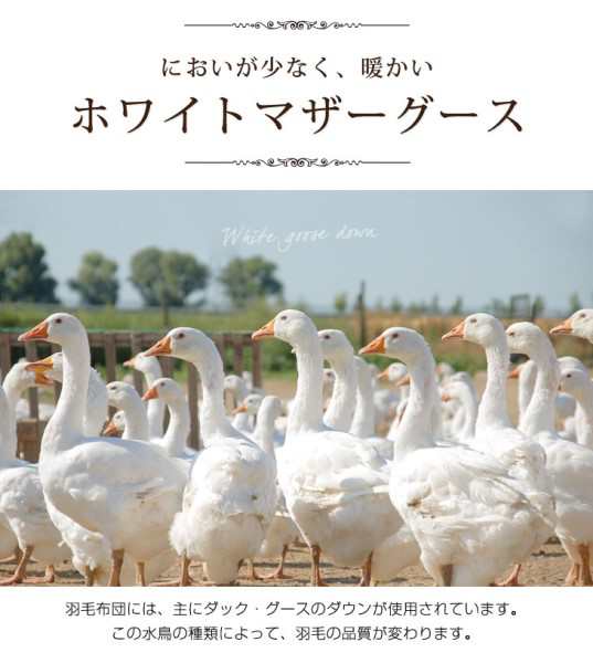 羽毛布団 ダブル 掛け布団 日本製 神々の羽毛 10年保証 超長綿 160番手