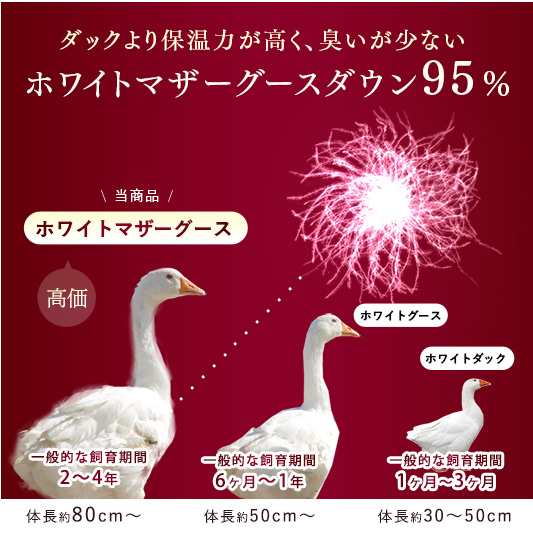 本日P5％還元】 羽毛布団 シングル ロング 掛け布団 日本製 7年保証 超増量1.5kg ホワイトマザーグース 95％ 440dp以上 2層キルト  CILブラックラベル 高品質 SEK認定 抗菌防臭 超長綿 掛布団 ツインキルト 羽 あったか 冬の通販はau PAY マーケット - タンスのゲン  Design ...