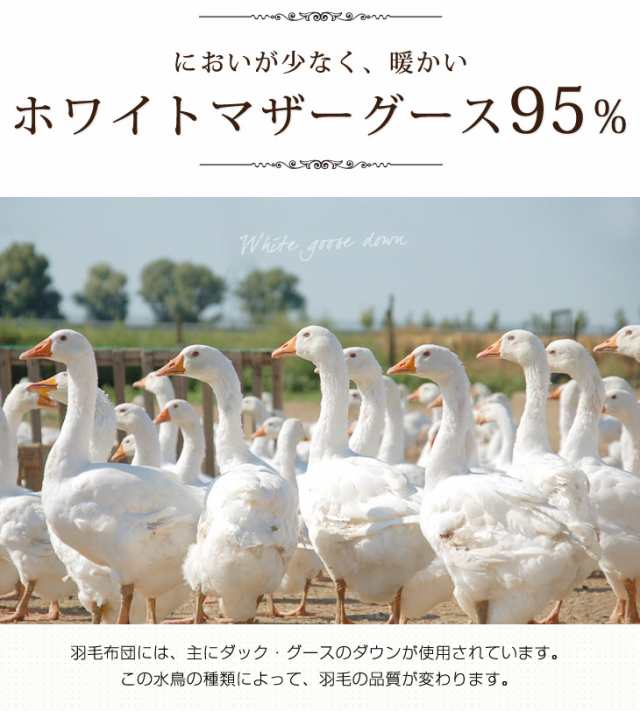 羽毛布団 クイーン ロング 綿100% 日本製 充填量2.2kg ホワイトマザー