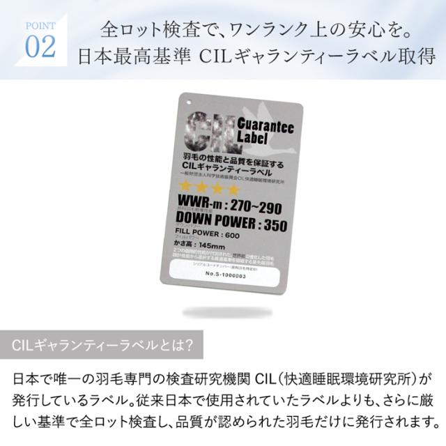 掛け布団 シングル 洗える ダウンケット 日本製 ホワイト ダックダウン90％ 0.27kg 羽毛 羽毛肌掛け布団 布団 消臭 抗菌 防ダニ ウォッシャブル 肌掛け布団 肌掛けふとん 肌布団 掛ふとん 春 夏 春用 夏用_6