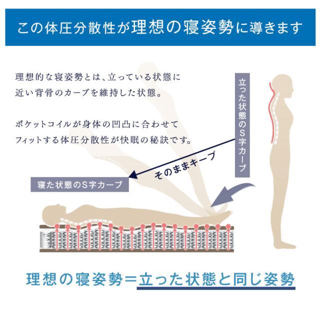 【正午〜P5%還元】 ベッド マットレス付き セミダブル 3ゾーン構造 ポケットコイルマットレス 宮棚＆2口コンセント すのこベッド ベッド セミダブル フレーム マットレス付き ベッドフレーム スプリングマットレス ポケットマットレス 宮棚付き