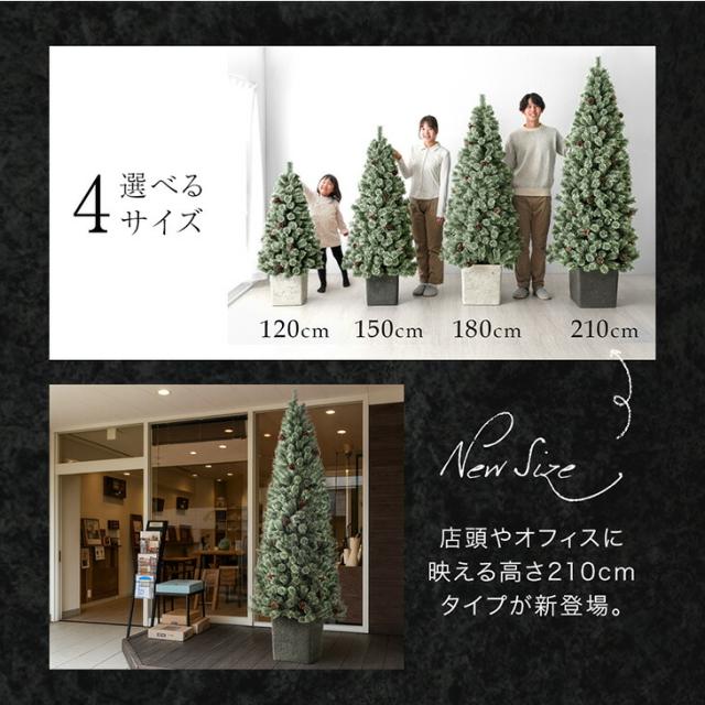 RENEW ヌードツリー Liv Norr 石目調 ポット付き 210cm 松ぼっくり付