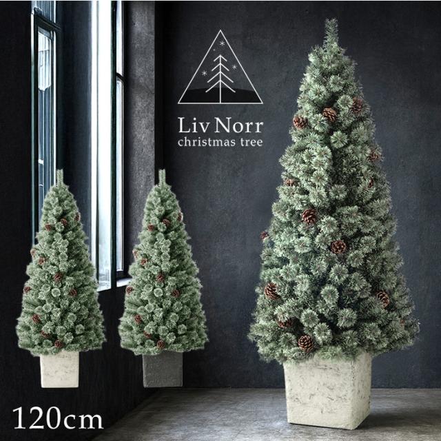 RENEW ヌードツリー 石目調 ポット付き 120cm 松ぼっくり付 ヌード