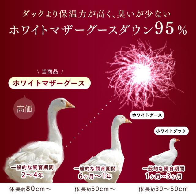 67255685_3