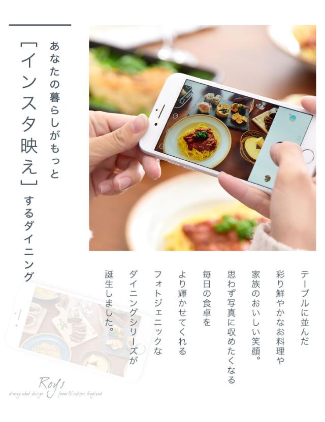 ダイニングチェア イギリスの伝統的デザイン ウィンザーチェア 天然木 ウィンザーチェア ボウバック ダイニング 木製_1