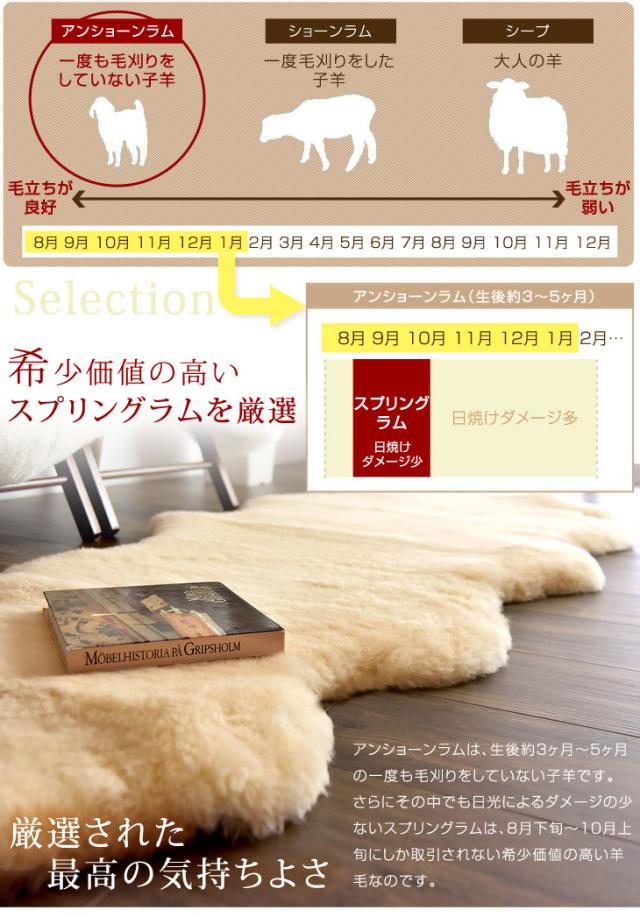 日本製 ムートンラグ 12匹物 約180×240 洗える 抗菌 防ダニ 短毛 ムートン ラグ 厚手 マット ファー ムートンフリース 本革 あったか_3