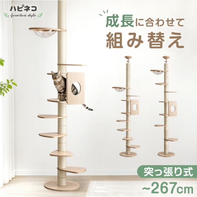 猫タワー スリム 据え置き 木製 組み立て式 猫ハウス 爪磨き キャット 