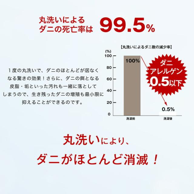 当店限定！ コインランドリーで丸洗い 三層敷布団 三層 洗える敷布団 洗える 敷布団 シングル シングルサイズ 敷き布団 敷ふとん 布団 来客用 マットレス テイジン 帝人 固綿 軽量 ウォッシャブル 洗濯 清潔 三層敷 洗濯可能_8
