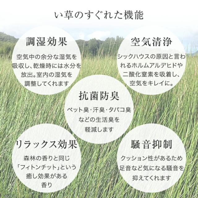 RENEW 耐久性UP! 敷くだけカンタン 置き畳 55cm 厚み 1.5cm 軽量 3畳 16枚 い草 畳 たたみ 畳マット マット ユニット畳 琉球畳 敷き畳 縁なし畳 敷く畳 抗菌 防臭 防音 滑り止め 床暖房対応 フチなし 縁なし おしゃれ 和室 賃貸_11