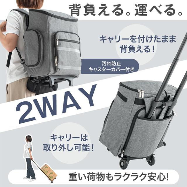 男女77点セット 防災士監修 キャリー付き 2way 防災セット 2人用 女性 男性 キャリーバー 枕付き 枕 防災バッグ セット 非常食 保存食 水 家族 軽量 大容量 非常用 持ち出し袋 災害グッズ 地震対策 避難グッズ 避難