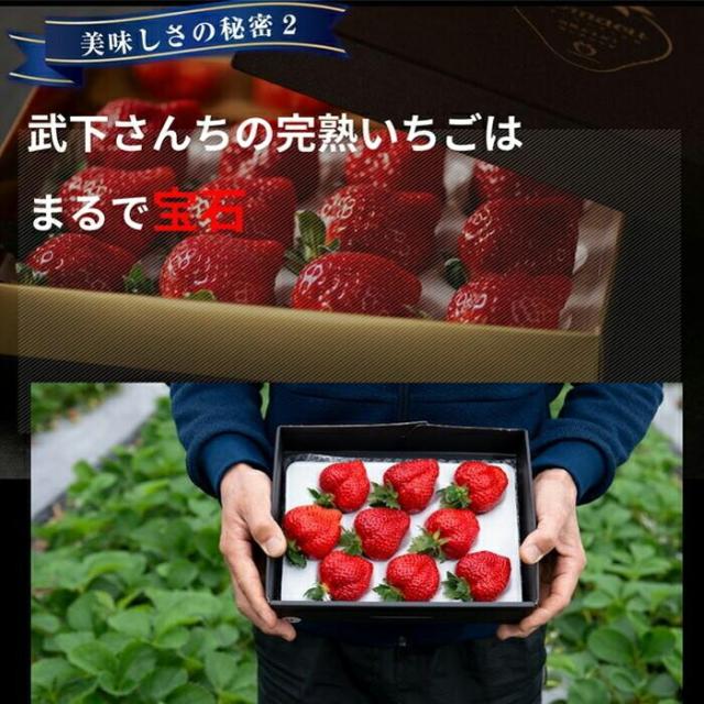 大容量 2L 武下さんちの“完熟” あまおうジェラート 究極いちご含有率56％ 2リットル 福岡県 大川 ジェラート アイス アイスクリーム シャーベット パーティー バーベキュー あまおう 苺 果物 スイーツ ファミリー 無着色 完熟