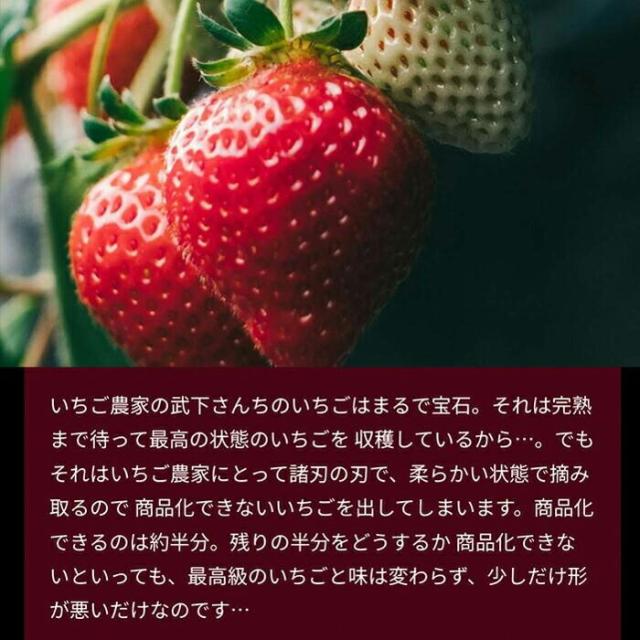 大容量 2L 武下さんちの“完熟” あまおうジェラート 究極いちご含有率56％ 2リットル 福岡県 大川 ジェラート アイス アイスクリーム シャーベット パーティー バーベキュー あまおう 苺 果物 スイーツ ファミリー 無着色 完熟