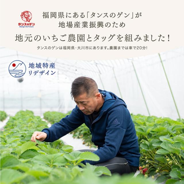 大容量 2L 武下さんちの“完熟” あまおうジェラート 究極いちご含有率56％ 2リットル 福岡県 大川 ジェラート アイス アイスクリーム シャーベット パーティー バーベキュー あまおう 苺 果物 スイーツ ファミリー 無着色 完熟