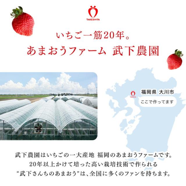大容量 2L 武下さんちの“完熟” あまおうジェラート 究極いちご含有率56％ 2リットル 福岡県 大川 ジェラート アイス アイスクリーム シャーベット パーティー バーベキュー あまおう 苺 果物 スイーツ ファミリー 無着色 完熟