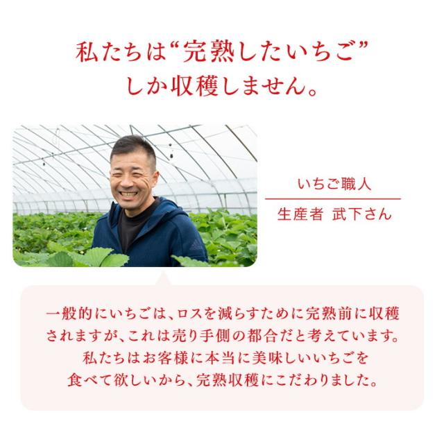 大容量 2L 武下さんちの“完熟” あまおうジェラート 究極いちご含有率56％ 2リットル 福岡県 大川 ジェラート アイス アイスクリーム シャーベット パーティー バーベキュー あまおう 苺 果物 スイーツ ファミリー 無着色 完熟