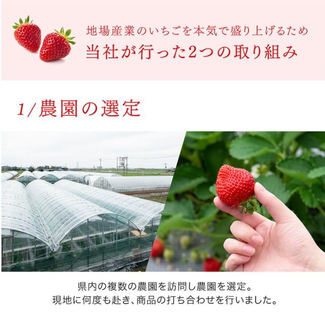 大容量 2L 武下さんちの“完熟” あまおうジェラート 究極いちご含有率56％ 2リットル 福岡県 大川 ジェラート アイス アイスクリーム シャーベット パーティー バーベキュー あまおう 苺 果物 スイーツ ファミリー 無着色 完熟