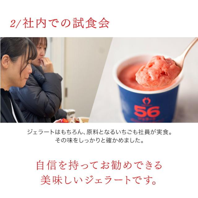 大容量 2L 武下さんちの“完熟” あまおうジェラート 究極いちご含有率56％ 2リットル 福岡県 大川 ジェラート アイス アイスクリーム シャーベット パーティー バーベキュー あまおう 苺 果物 スイーツ ファミリー 無着色 完熟