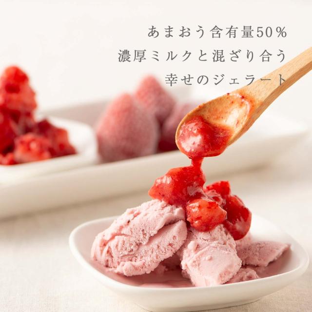 武下さんちの“完熟” あまおうミルクジェラート 究極いちご含有率50％ 12個 ギフト いちご 福岡県 ミルク ジェラート アイス アイスクリーム シャーベット カップアイス 苺 イチゴ 果物 ギフトセット 無着色 完熟 敬老の日