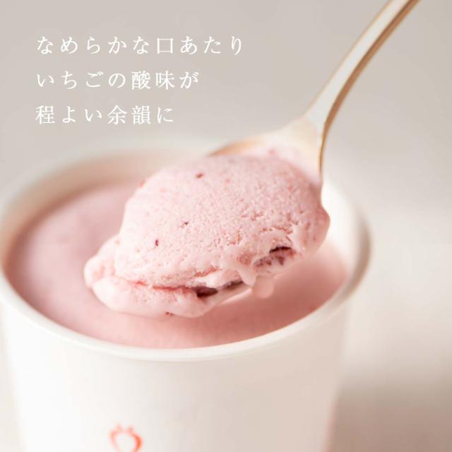 武下さんちの“完熟” あまおうミルクジェラート 究極いちご含有率50％ 12個 ギフト いちご 福岡県 ミルク ジェラート アイス アイスクリーム シャーベット カップアイス 苺 イチゴ 果物 ギフトセット 無着色 完熟 敬老の日