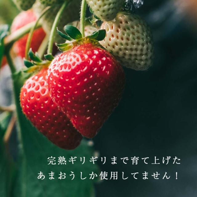 武下さんちの“完熟” あまおうミルクジェラート 究極いちご含有率50％ 12個 ギフト いちご 福岡県 ミルク ジェラート アイス アイスクリーム シャーベット カップアイス 苺 イチゴ 果物 ギフトセット 無着色 完熟 敬老の日