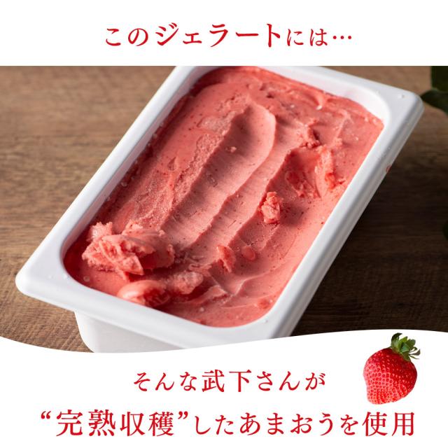 大容量 2L 武下さんちの“完熟” あまおうジェラート 究極いちご含有率56％ 2リットル 福岡県 大川 ジェラート アイス アイスクリーム シャーベット パーティー バーベキュー あまおう 苺 果物 スイーツ ファミリー 無着色 完熟