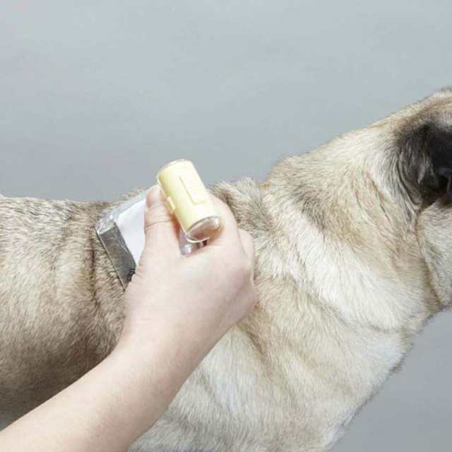 史上最も激安史上最も激安ドギーマン ニューハニースマイル ノミ取り柄付きグシ 犬・猫用 鍋 ドギーマン NHS ノミ取りグシ イエロー