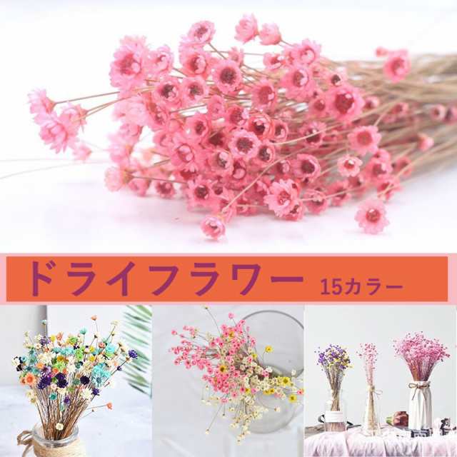 ドライフラワー 干し花 ドライフラワー パンパスグラス プレゼント 花束 乾燥した花 小さな花 フラグミテス花 家庭用花束 結婚式 記念日の通販はau Pay マーケット ファシアプライム店