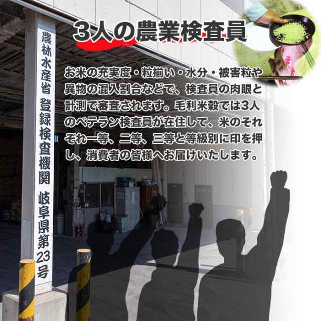 米 お米 10kg 送料無料 こめ おこめ 日本のお米 白米 精米 ブレンド米 安い お得 国産 北海道/沖縄県配送不可 10キロ  当日発送の通販はau PAY マーケット - フォレストサン