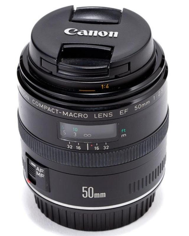 キヤノン 単焦点レンズ CANON EF 50mm F2.5 コンパクトマクロ 中古 保証_2