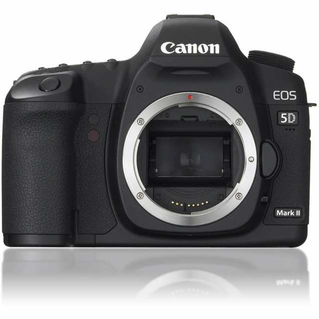 キヤノン デジタル一眼 Canon EOS 5D Mark II ボディ 中古 フルサイズ おまけ付き