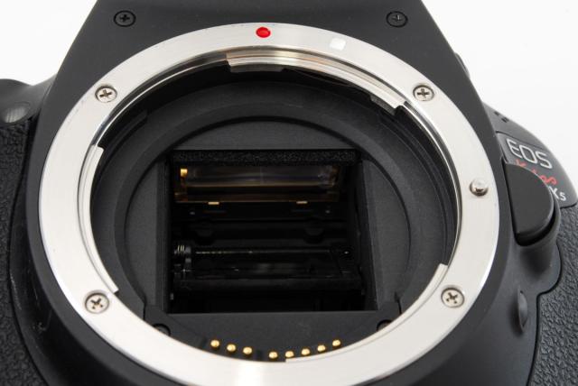 ✨外観美品✨キヤノン ✨バリアングル液晶✨Canon kiss X5 付属品