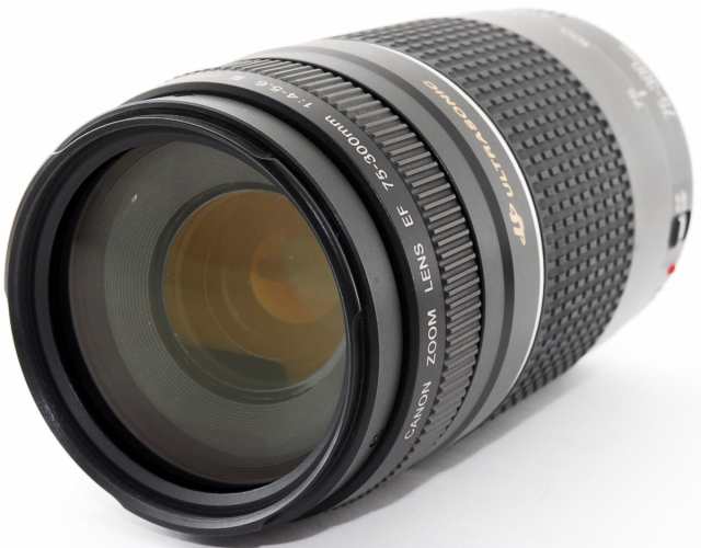 キヤノン 望遠レンズ CANON EF 75-300mm F4-5.6 III USM 中古 保証 レンズプロテクター付き