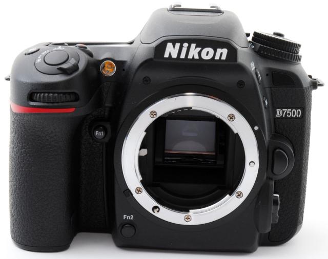 良品 ニコン Nikon D4s フルサイズ一眼レフカメラ