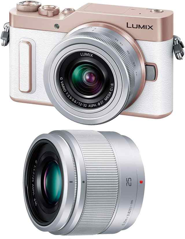 新作が登場 パナソニック ミラーレス Panasonic LUMIX DC-GF10 ダブル