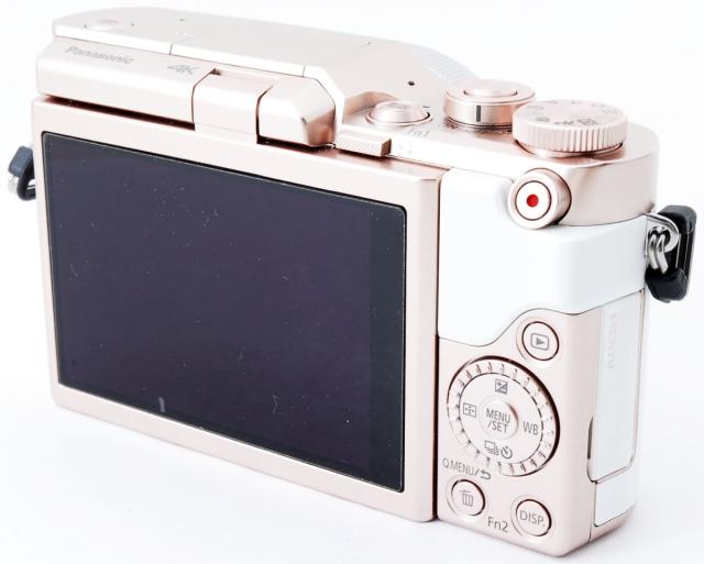 お値下げ】LUMIX DC-GF9 レンズ microSDカード32GB 袋