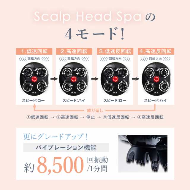 WAVEWAVE公式 EMS Scalp Head SPA】 TV・雑誌で紹介 月間MVP