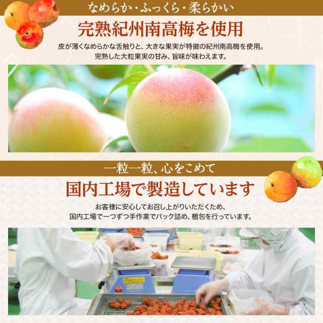 紀州完熟南高梅 無添加白干し - その他 加工食品