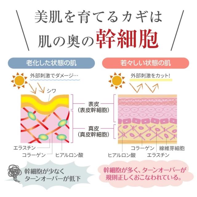 LAWHI ラウイ SC ミルク (78ml) エンチーム ヒト脂肪間質細胞順化培養